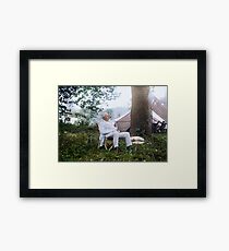 Thomas Edison Relaxing on a "Vagabonds" Camping Trip, 1921 Framed Print