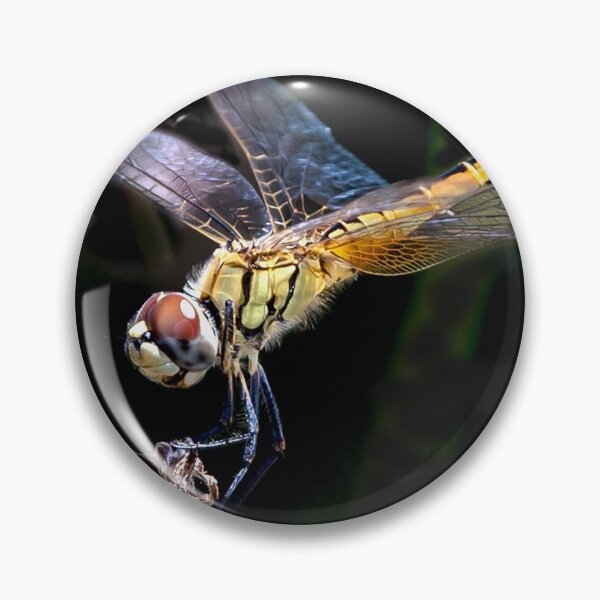 Item preview, Dragonfly designed and sold by Peter Keepence.