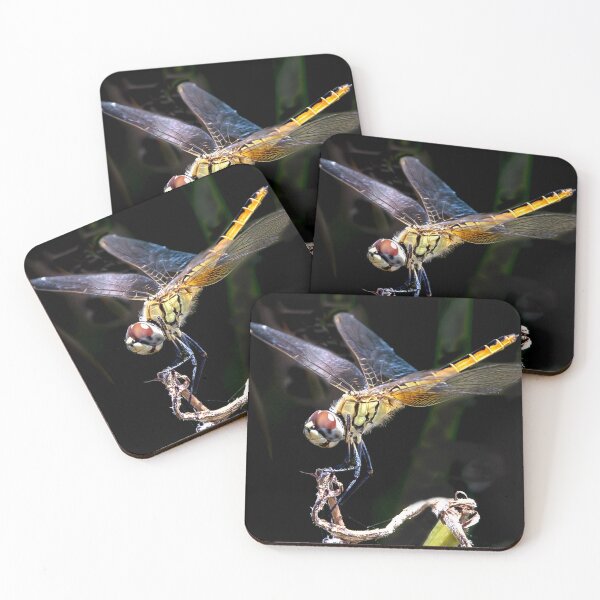 Item preview, Dragonfly designed and sold by Peter Keepence.