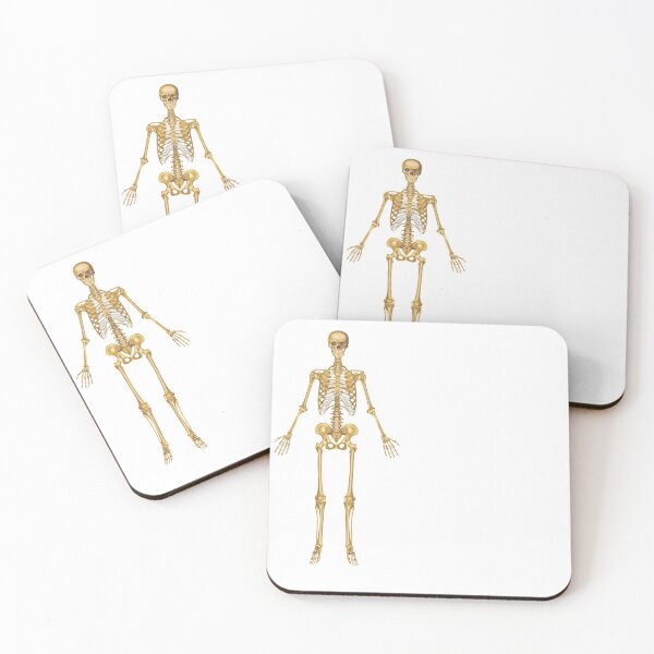 Item preview, Human Skeleton designed and sold by BlueTreePublish.