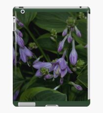 Hosta Plant with Beautiful Purple Flowers iPad Case/Skin
