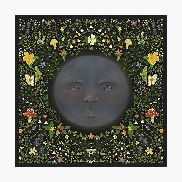 Moonlit Garden Photographic Print