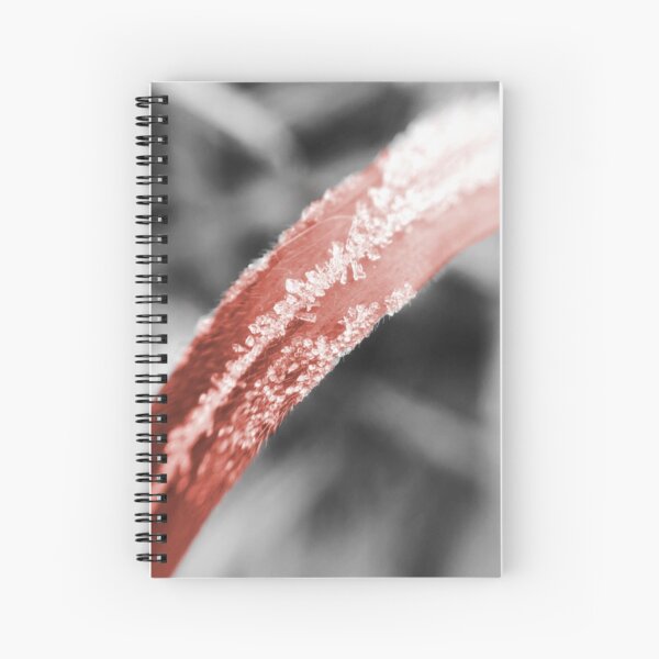 Item preview, Frosty Blade of Grass (Colourized) designed and sold by MyMacro_Photography (MyMacro).
