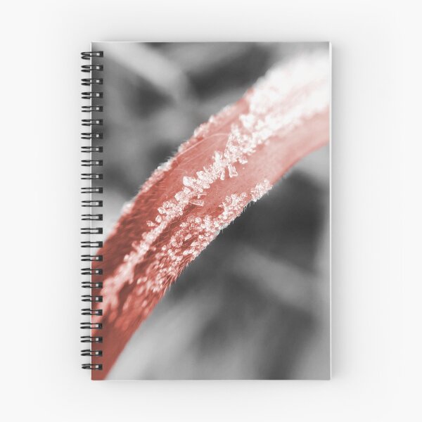 Item preview, Frosty Blade of Grass (Colourized) designed and sold by MyMacro_Photography (MyMacro).