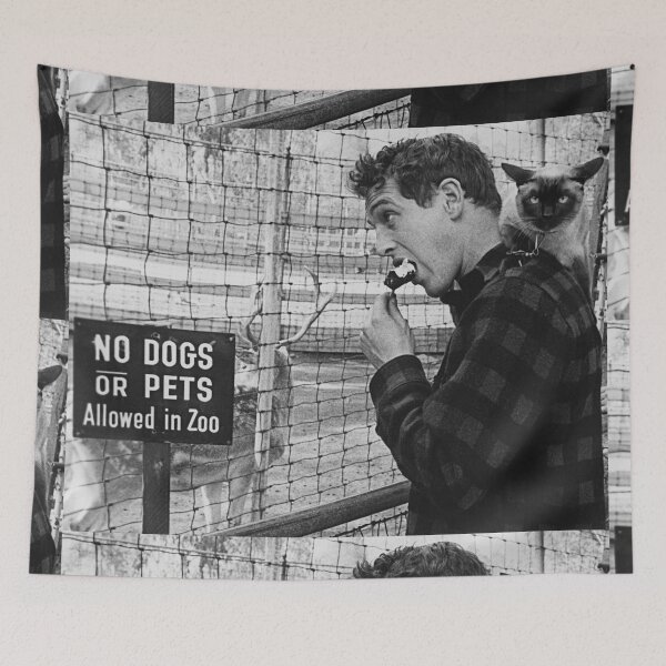 Item preview, Paul Newman & cat designed and sold by Leafyblues.