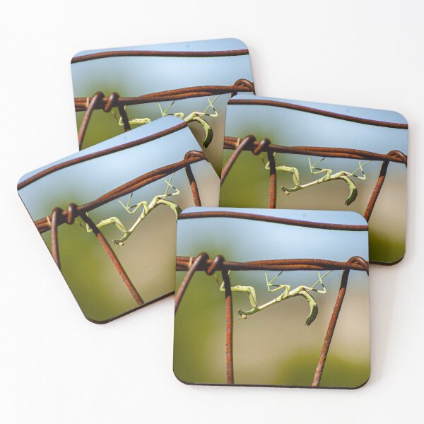 Item preview, Just Hanging Around designed and sold by Julie Bradshaw.
