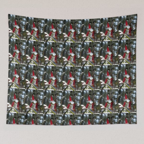 Item preview, Beautiful Bell, Tasmanian Native Correa, Northern Tasmania,Australia. designed and sold by kaysharp.