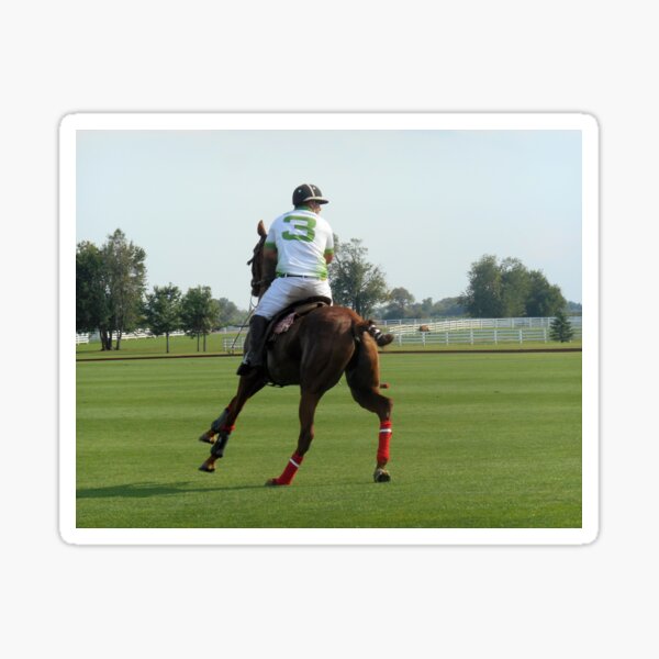 POLO vinyl sticker SPORT OF KINGS Society Horseback Arena Field Equestrian Game 