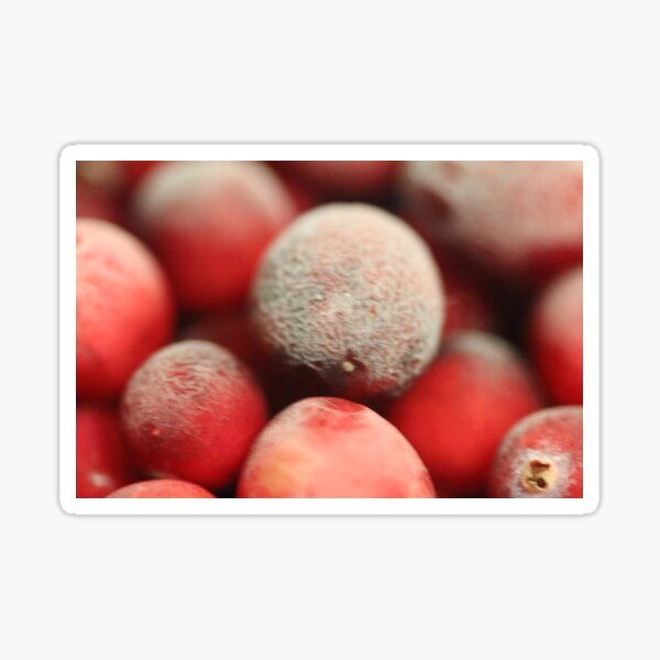 Frozen Cranberries Sticker