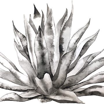 Imagen de la obra Agave en Tinta China de LoryFuchs