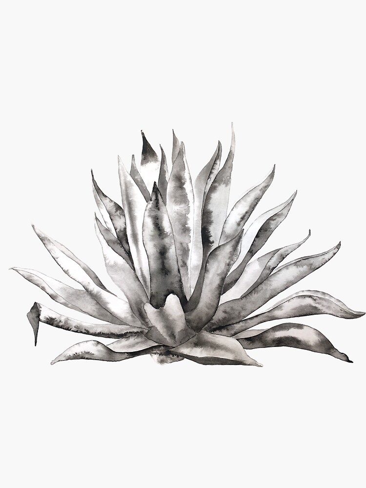 Imagen 3 de 3, Pegatina con la obra Agave en Tinta China, diseñada y vendida por LoryFuchs.
