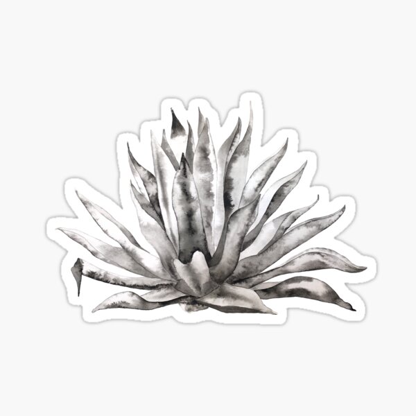 Agave en Tinta China Pegatina