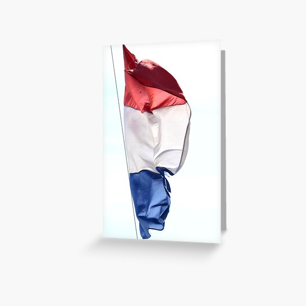 Unfurl 02 Greeting Card