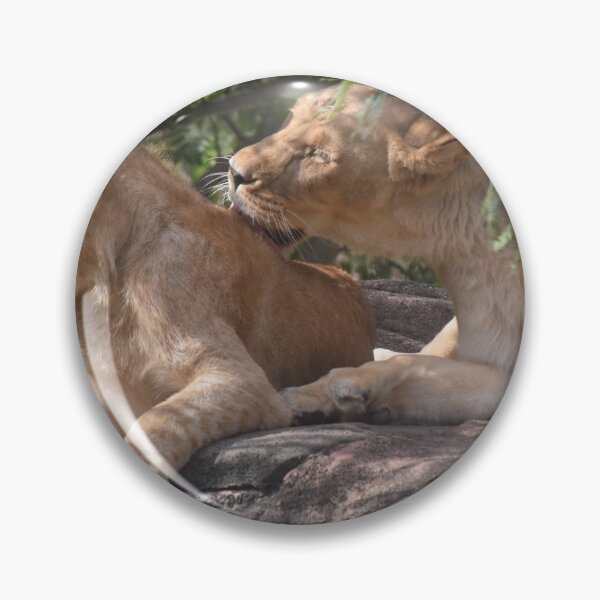 Item preview, Two Lions Hanging out designed and sold by GBGart.
