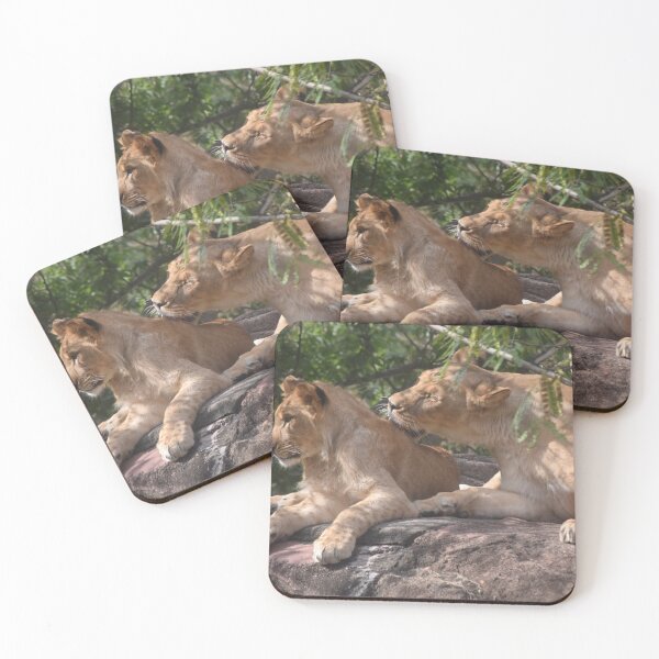 Item preview, Two Lions Hanging out designed and sold by GBGart.