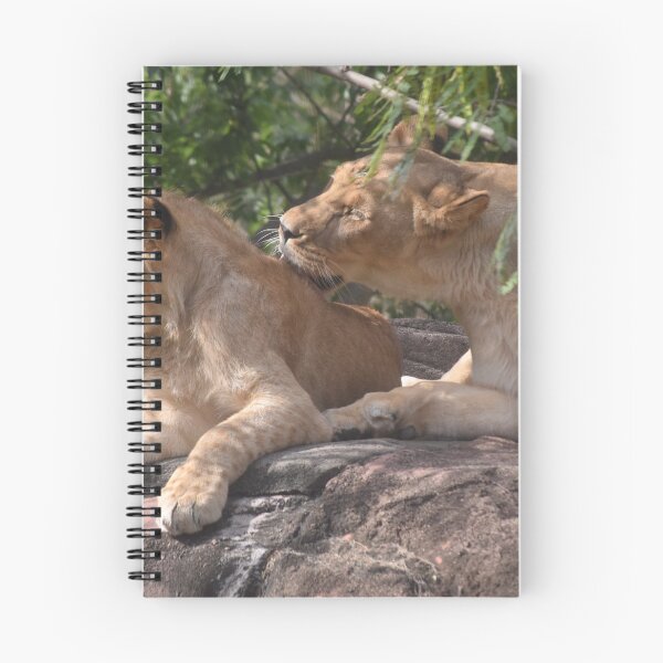 Item preview, Two Lions Hanging out designed and sold by GBGart.