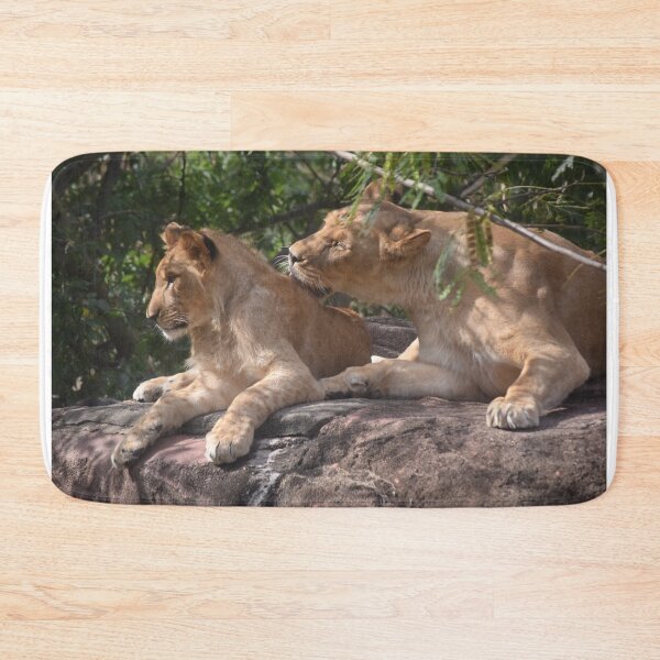 Item preview, Two Lions Hanging out designed and sold by GBGart.