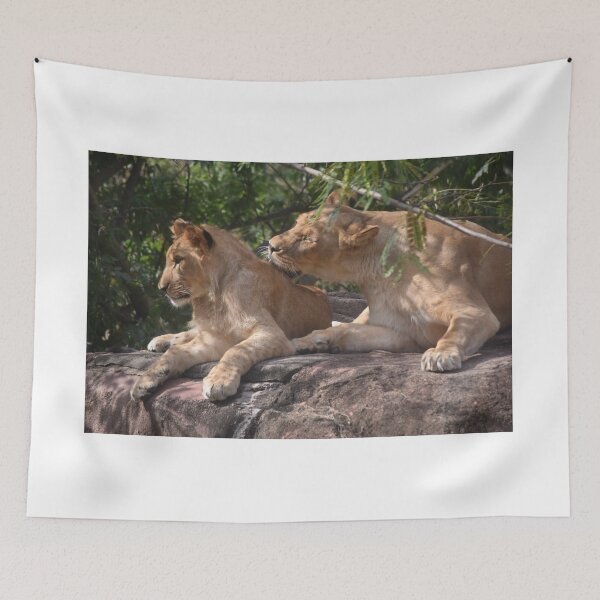 Item preview, Two Lions Hanging out designed and sold by GBGart.