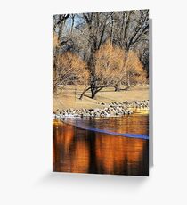 Willow Reflection Greeting Card