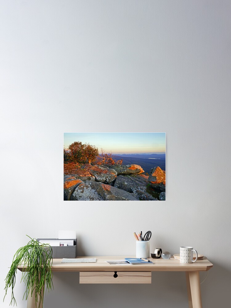 Thumbnail 2 of 3, Poster, Last Rays designed and sold by HarryOldmeadow.