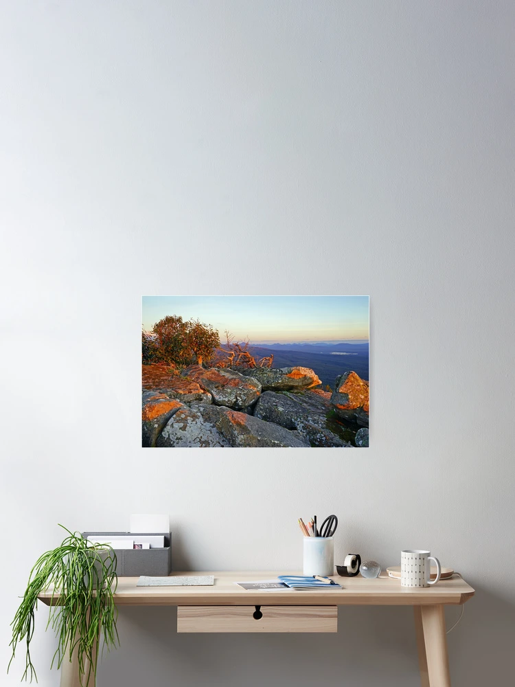 Thumbnail 2 of 3, Poster, Last Rays designed and sold by Harry Oldmeadow.