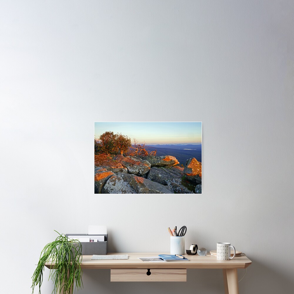 Item preview, Poster designed and sold by HarryOldmeadow.