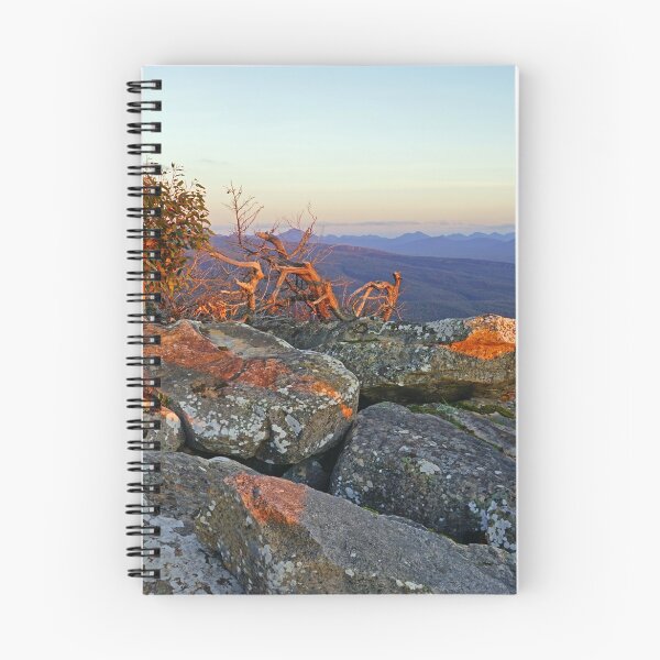 Item preview, Last Rays designed and sold by Harry Oldmeadow.