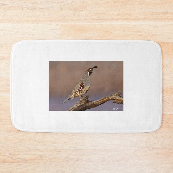 Item preview, Gambel's Quail Perched on a Branch designed and sold by Jeff Goulden Photography.