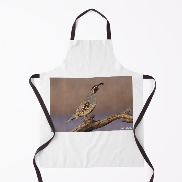 Item preview, Gambel's Quail Perched on a Branch designed and sold by Jeff Goulden Photography.