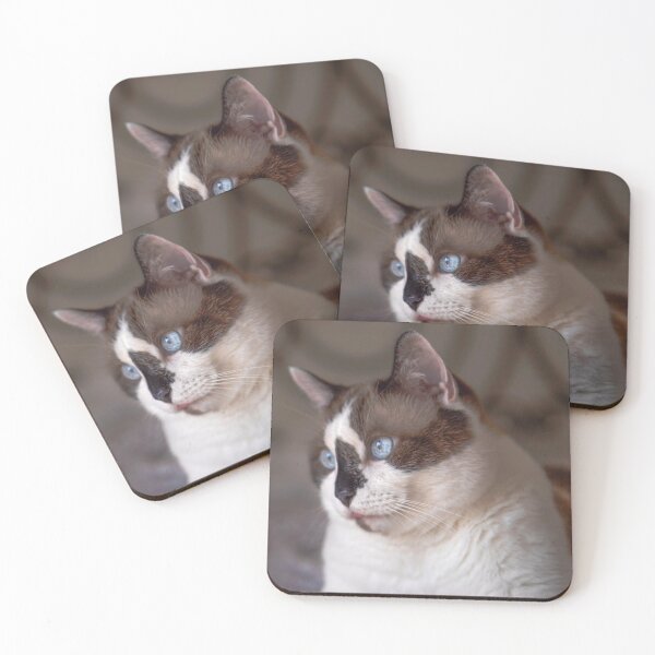 Item preview, Mister Snowshoe Kitty designed and sold by Elisabeth Lucas.