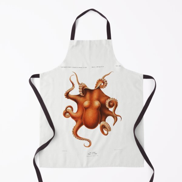 Item preview, Scientific drawing of Octopus designed and sold by taraalpert.