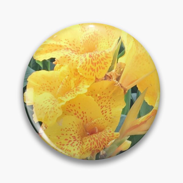 Item preview, yellow canna lily designed and sold by floresenlaarena.
