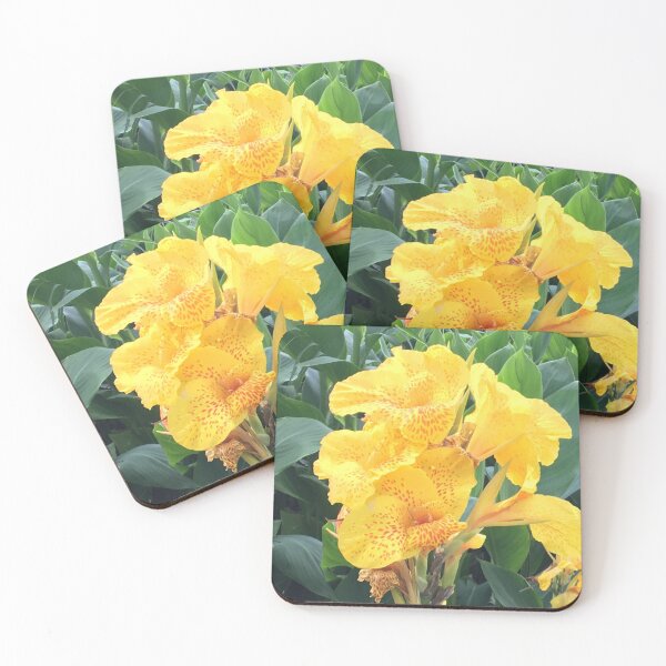 Item preview, yellow canna lily designed and sold by floresenlaarena.