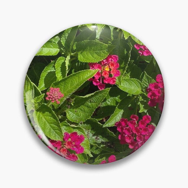 Item preview, pink lantana designed and sold by floresenlaarena.