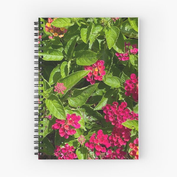 Item preview, pink lantana designed and sold by floresenlaarena.