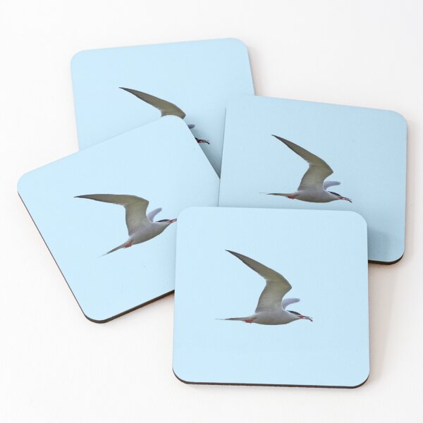 Item preview, Common tern flying. Transparent designed and sold by Jouko Lehto Photography.