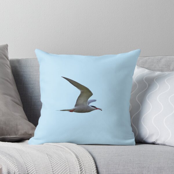 Item preview, Common tern flying. Transparent designed and sold by Jouko Lehto Photography.