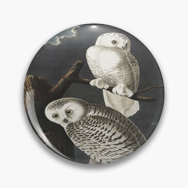 Item preview, Snowy Owls designed and sold by guitarkel.