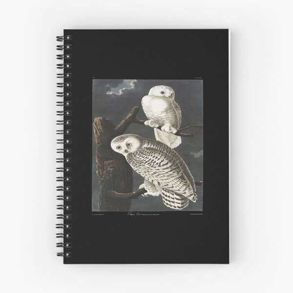 Item preview, Snowy Owls designed and sold by guitarkel.