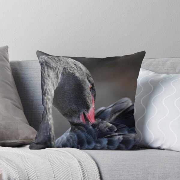 Item preview, Black Swan - Cygnus atratus designed and sold by Caroline Everett.