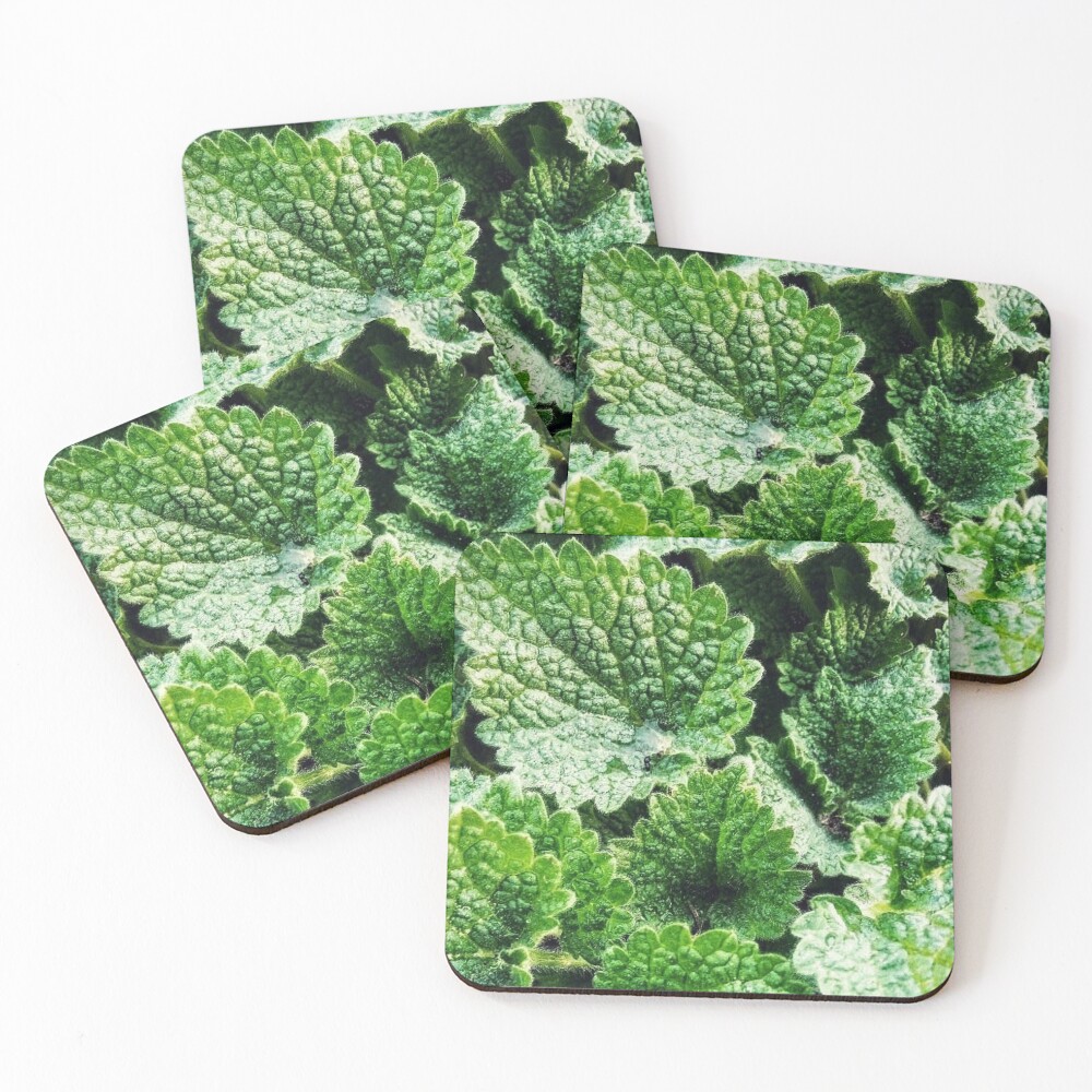 Item preview, Coasters (Set of 4) designed and sold by Calibr.