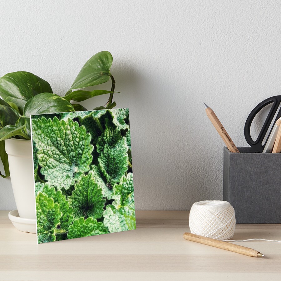 Item preview, Art Board Print designed and sold by Calibr.