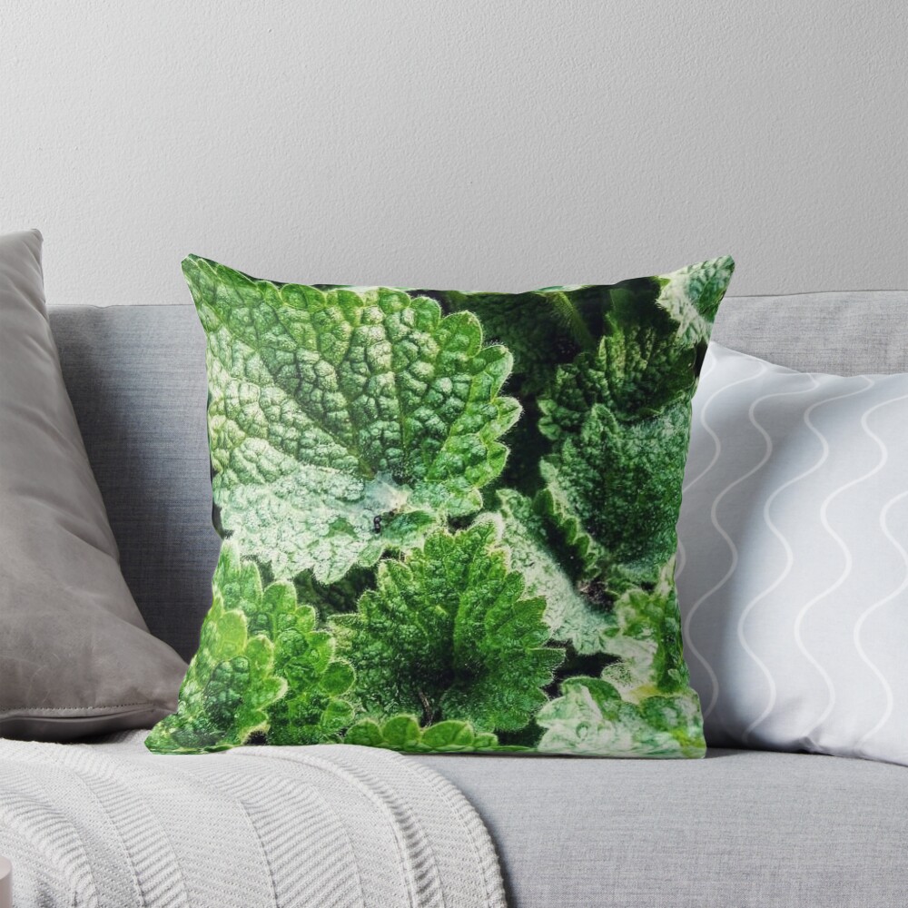 Item preview, Throw Pillow designed and sold by Calibr.