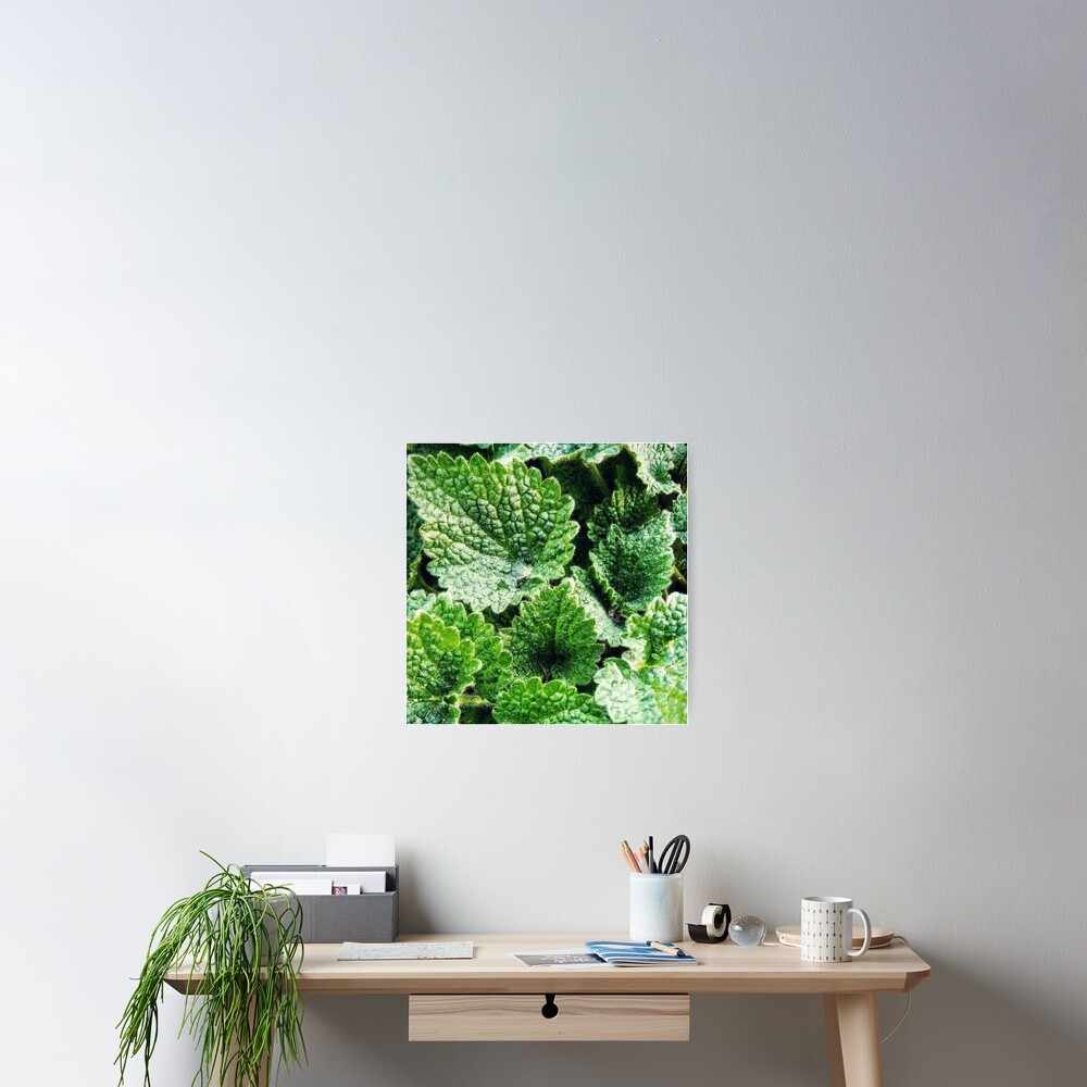 Item preview, Poster designed and sold by Calibr.
