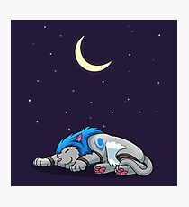 Derpkitty sleeping Photographic Print