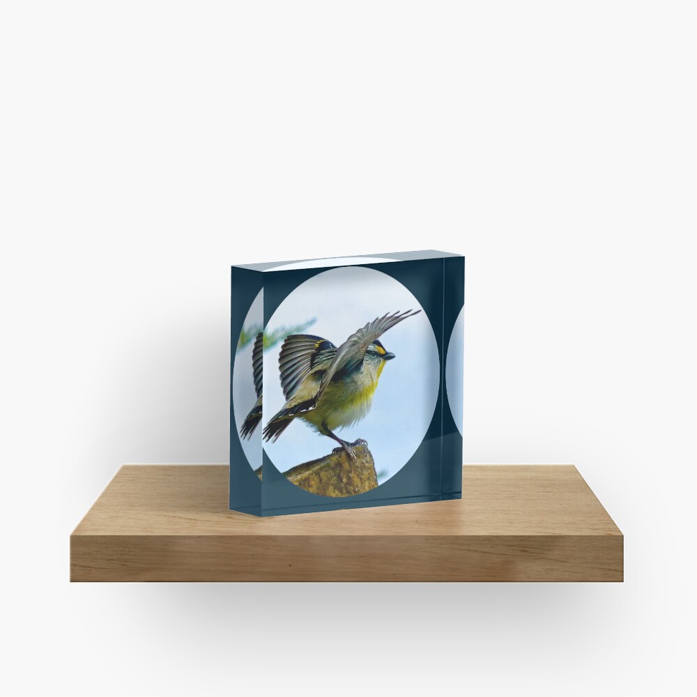 Item preview, Acrylic Block designed and sold by tasmanianartist.