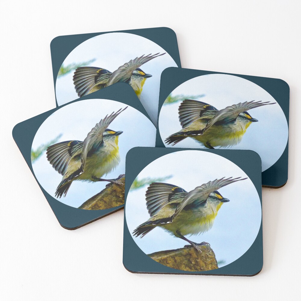 Item preview, Coasters (Set of 4) designed and sold by tasmanianartist.