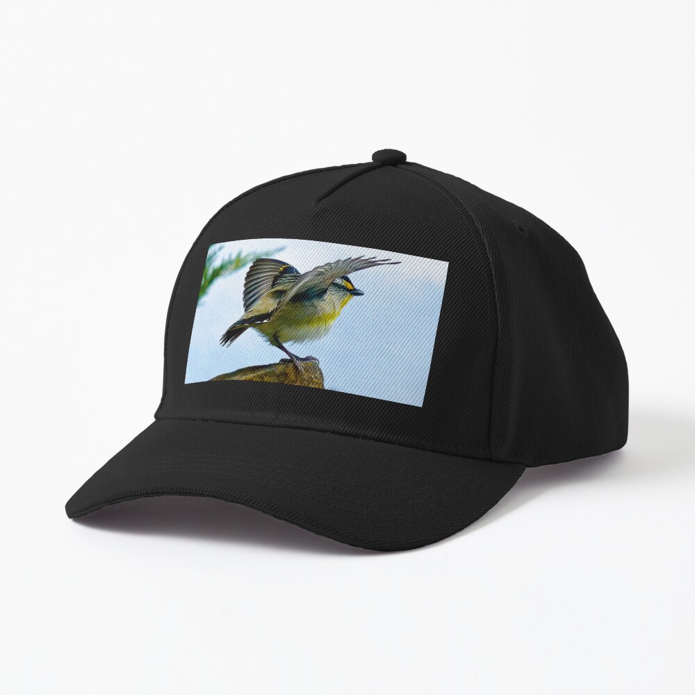 Item preview, Baseball Cap designed and sold by tasmanianartist.