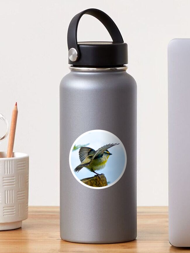 Thumbnail 1 of 3, Sticker, PARDALOTE ~ MICRO TALE ~ Striated Pardalote SuGpSf7Y by David Irwin designed and sold by tasmanianartist.