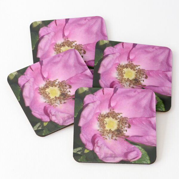 Item preview, Beautiful Beachfront Flowers designed and sold by HopeAlways888.